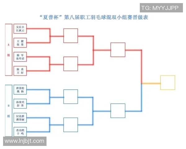 南京羽毛球队技术表现数据分析与战术优化研究